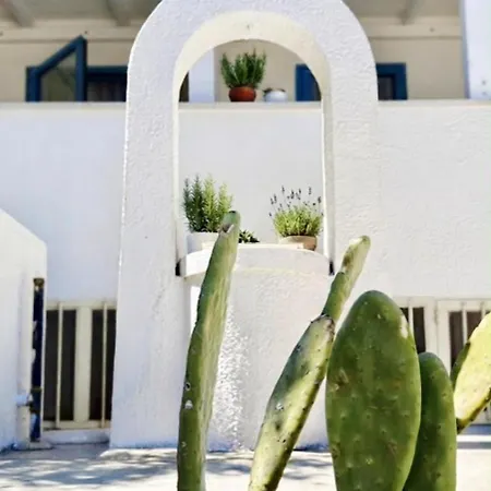Lido Dei Pini